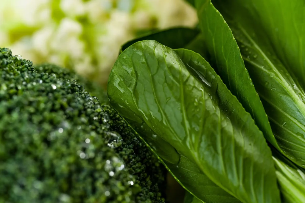 Close-up of fresh green vegetables with visible water droplets.