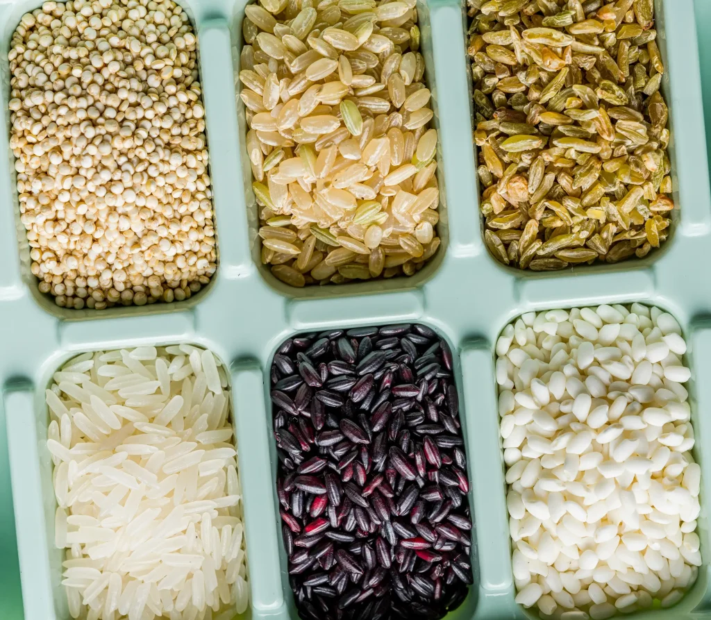 Assorted grains and rice varieties in compartmentalized tray.