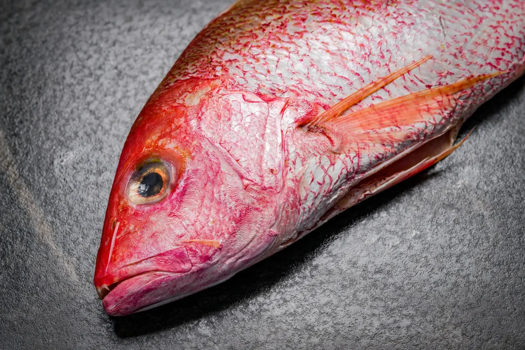 A close-up of a whole red snapper fish lying on a dark textured surface.